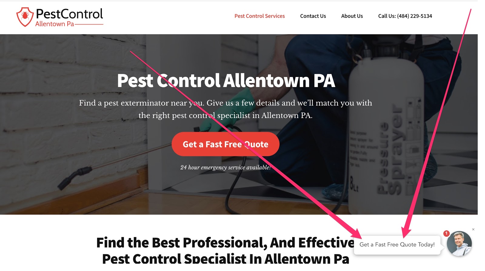 pest control website