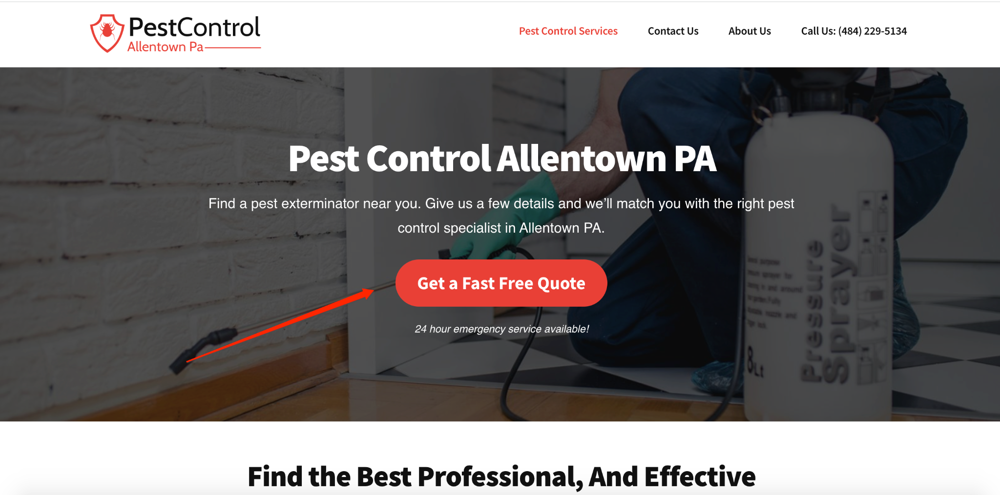 pest control allentown pa