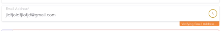 verifying an email in real time right in the lead form